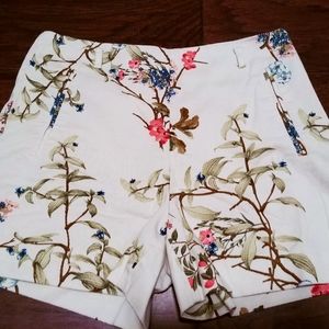 Zara Basics High Waisted Shorts